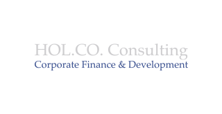 HOL.CO Consulting